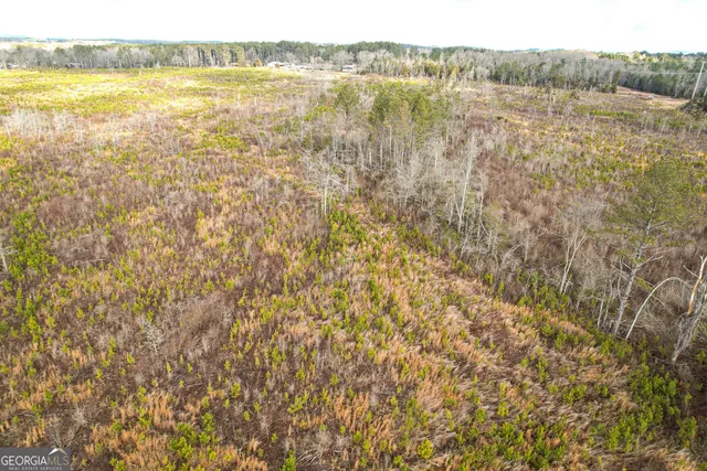 $779,900 | 142 Acres On Judkin Mill Road, Cedartown, GA 30125