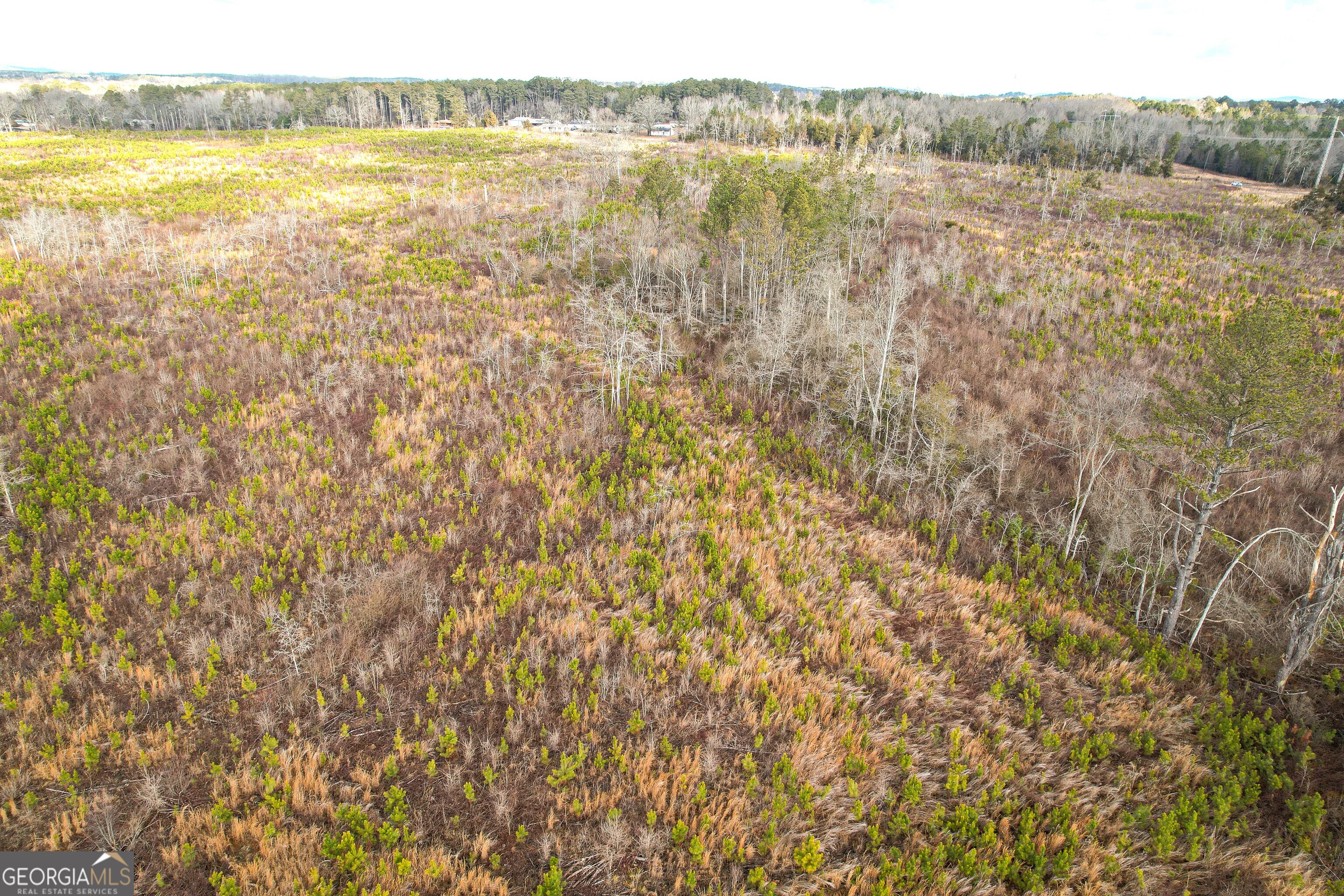 142 Acres On Judkin Mill Road Cedartown, GA 30125 - Photo 6 of 38