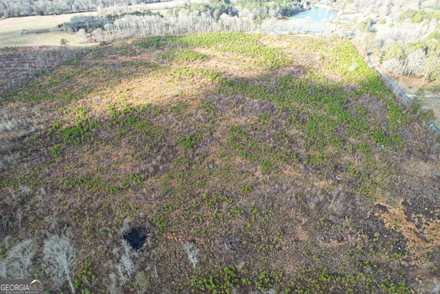 $779,900 | 142 Acres On Judkin Mill Road, Cedartown, GA 30125