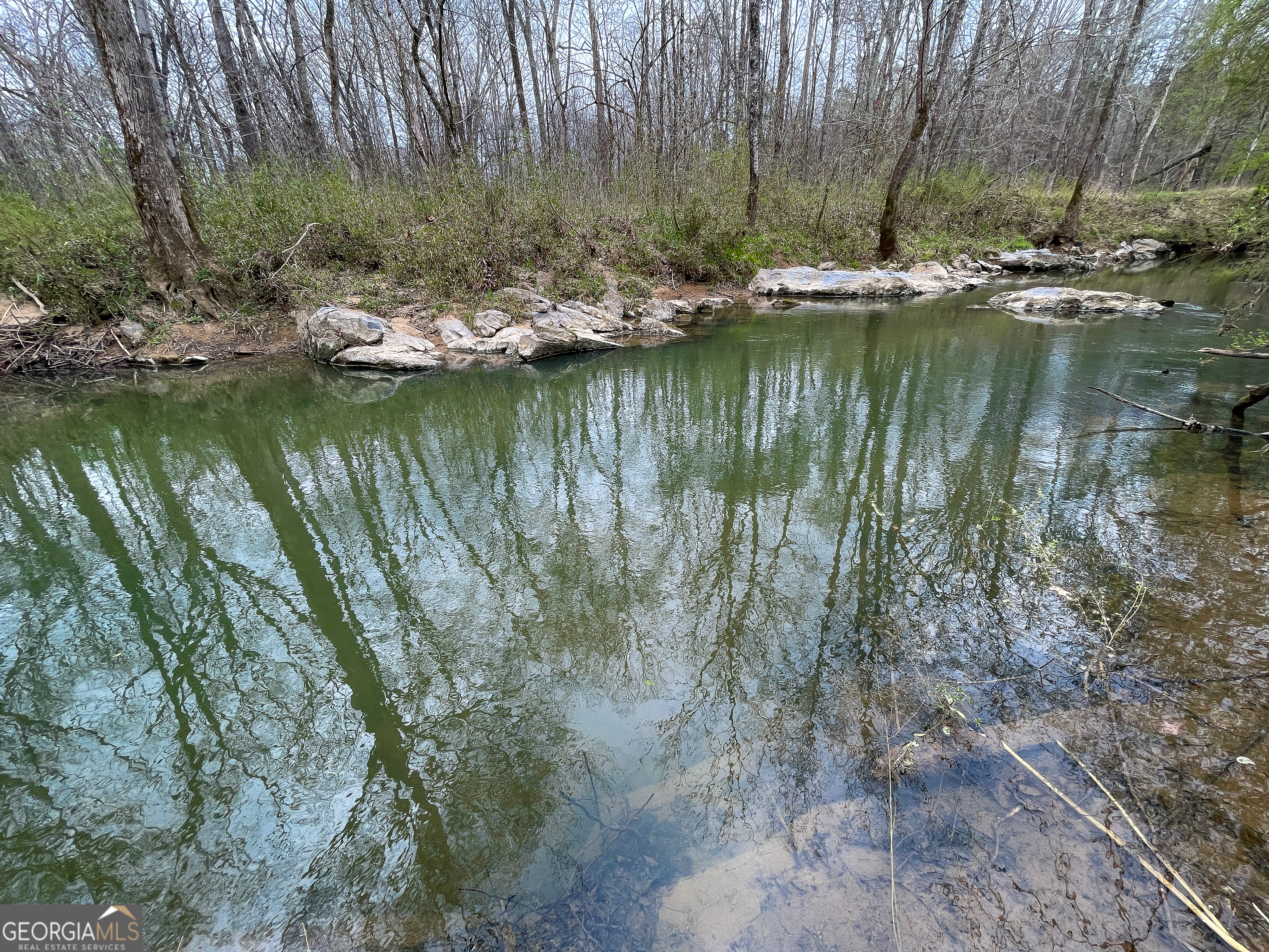 142 Acres On Judkin Mill Road Cedartown, GA 30125 - Photo 10 of 38