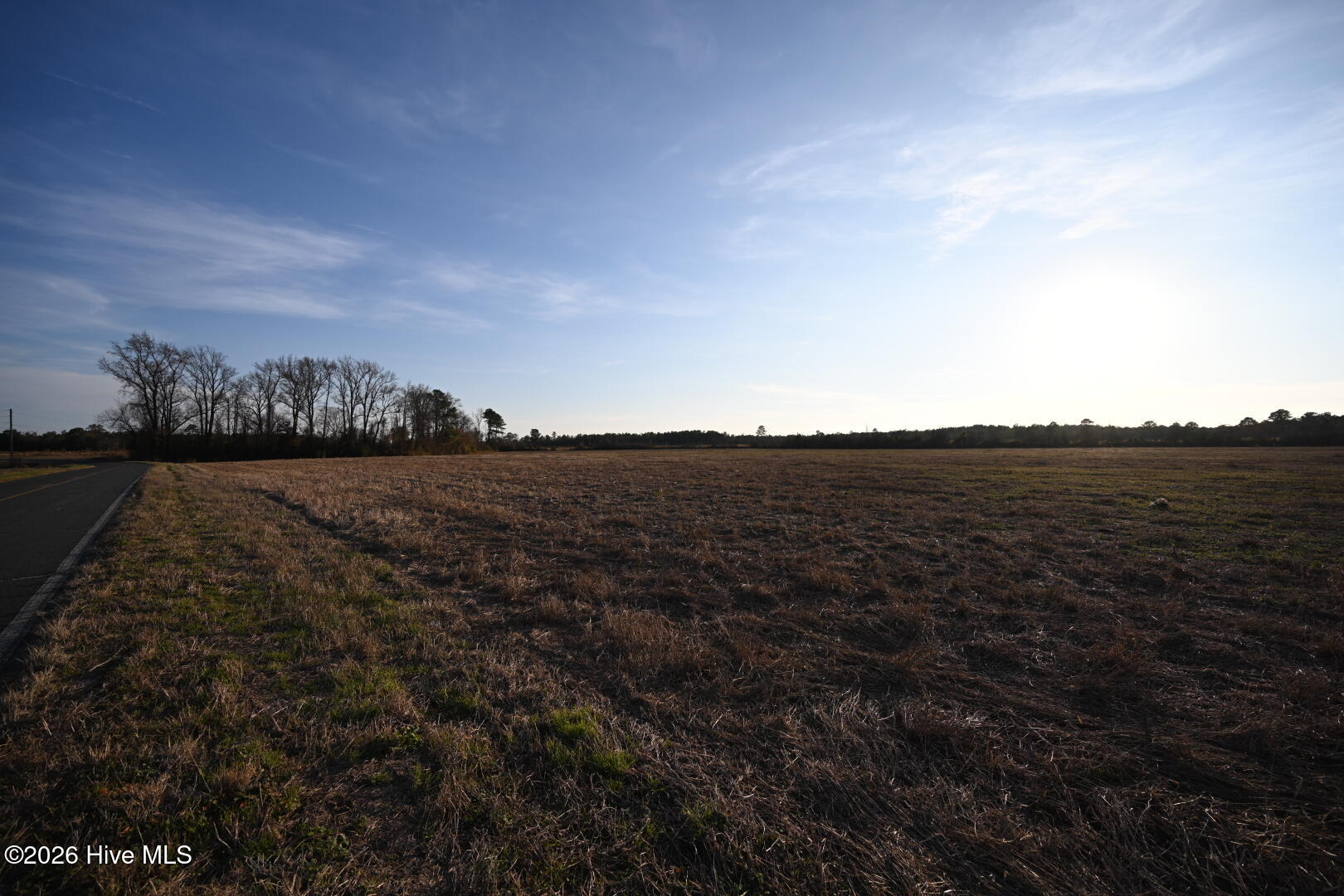0 Rogers Mill Road Rose Hill, NC 28458 - Photo 57 of 62 DSC_1421