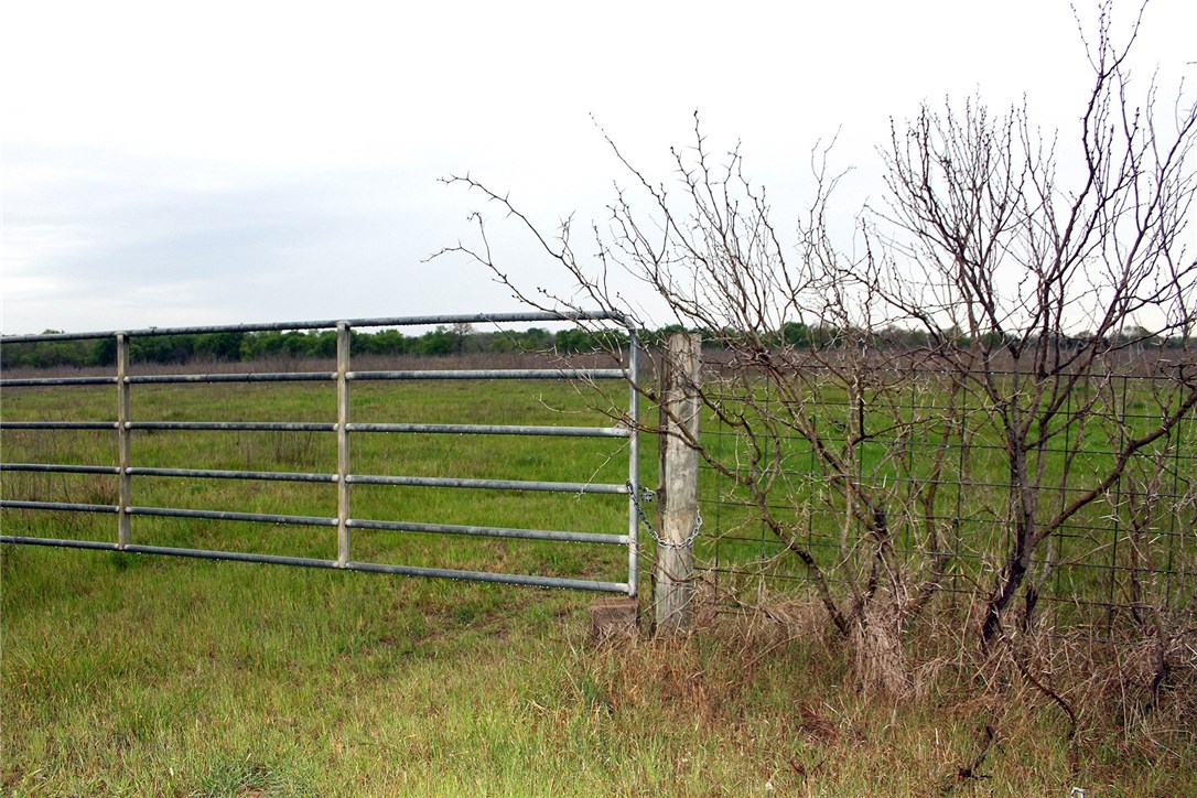 a view of a wooden fence and a tree