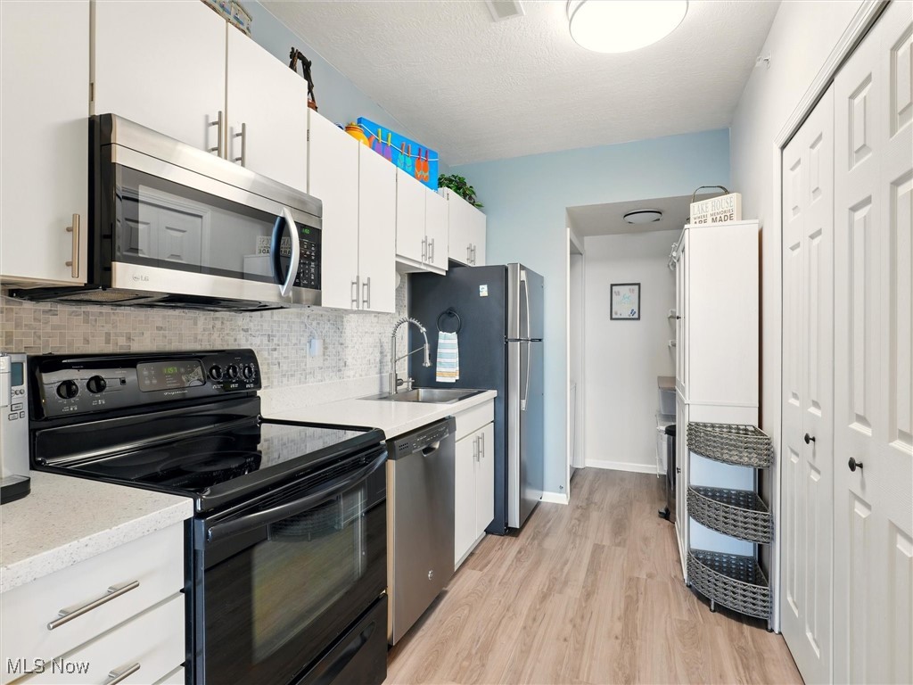 5237 Lake Road West, Unit 1103 Ashtabula, OH 44004 - Photo 8 of 29 Gallery Image 8