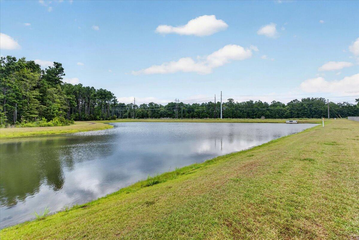 1081 Peridote Way Ladson, SC 29456 - Photo 3 of 26 28-Brandi Sanicharr - DSC03837