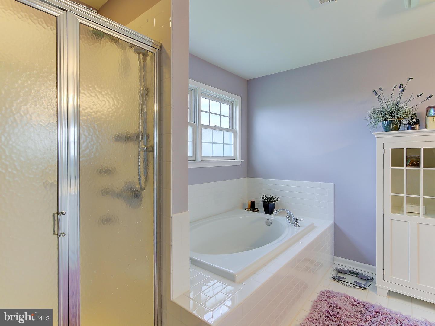 25580 Mt Pleasant Road Columbus, NJ 08022 - Photo 19 of 25 Master Bathroom