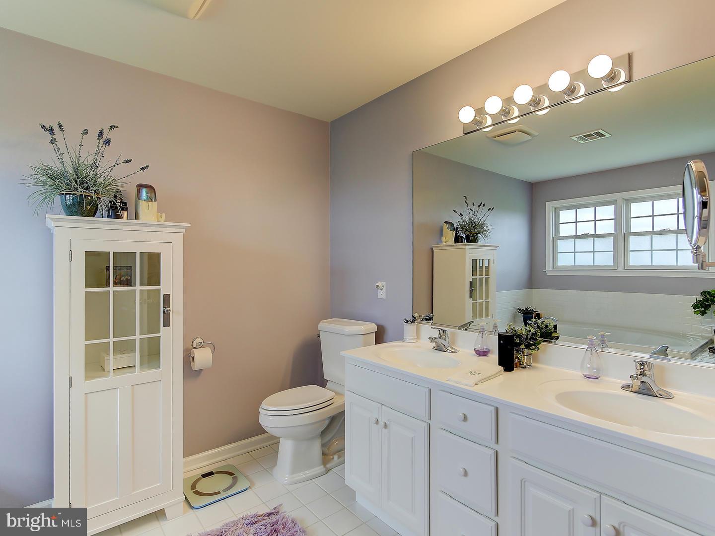 25580 Mt Pleasant Road Columbus, NJ 08022 - Photo 20 of 25 Master Bathroom