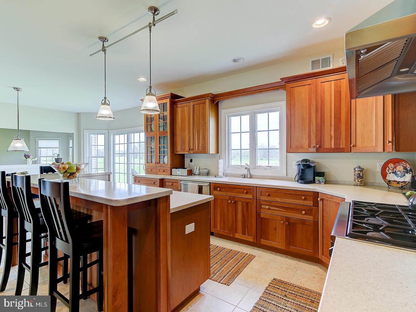 25580 Mt Pleasant Road Columbus, NJ 08022 - Photo 10 of 25 Kitchen