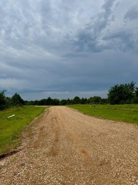 37 Redbird Lane Colbert, OK 74733 - Photo 9 of 10