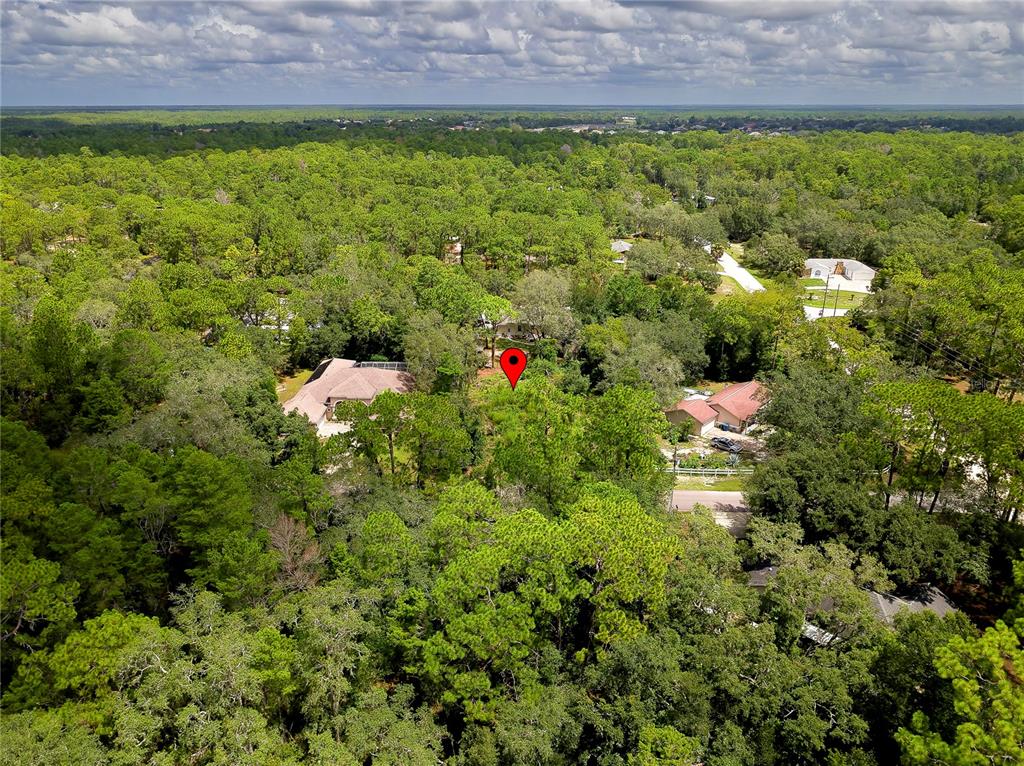 9041 Helene Way Weeki Wachee, FL 34613 - Photo 11 of 15 Gallery Image 11