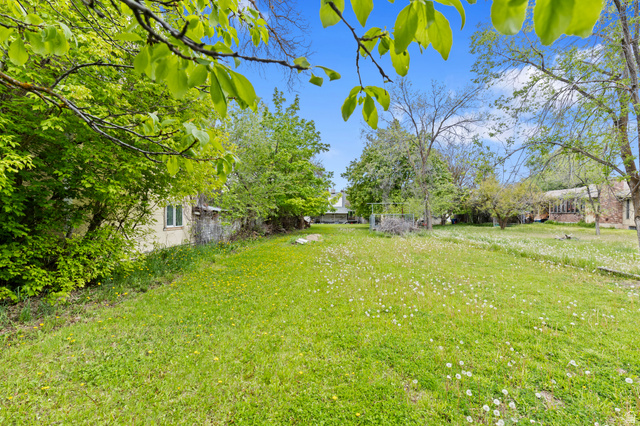 658 North 100 East Logan, UT 84321 - Photo 25 of 26 Spacious green lawn with scattered white flora, bordered by mature deciduous trees