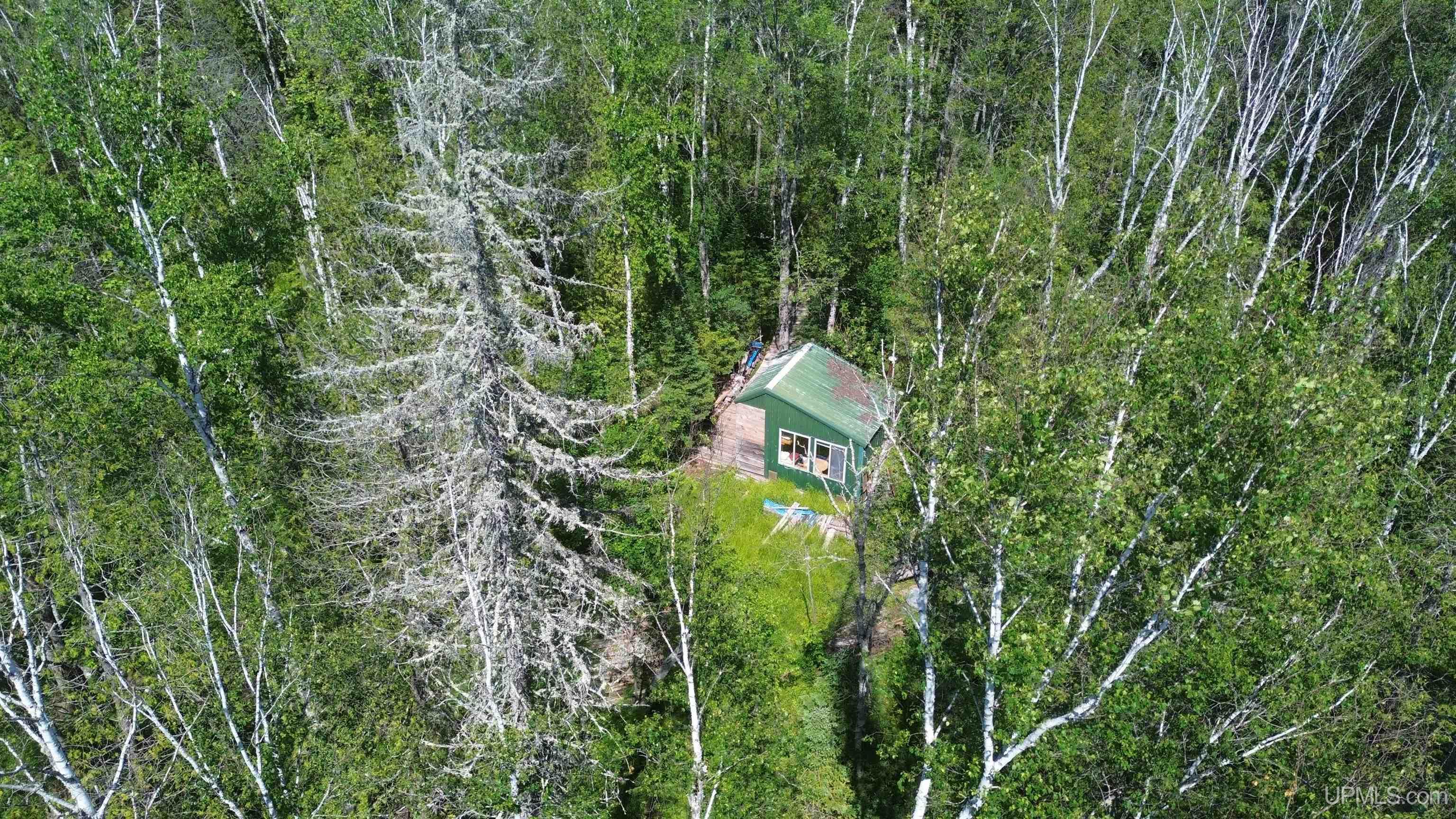 13 Highway Wetmore, MI 49895 - Photo 3 of 39