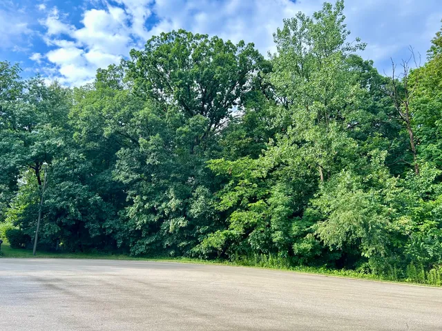 $172,500 | 12932 Carrington Court, New Lenox, IL 60451