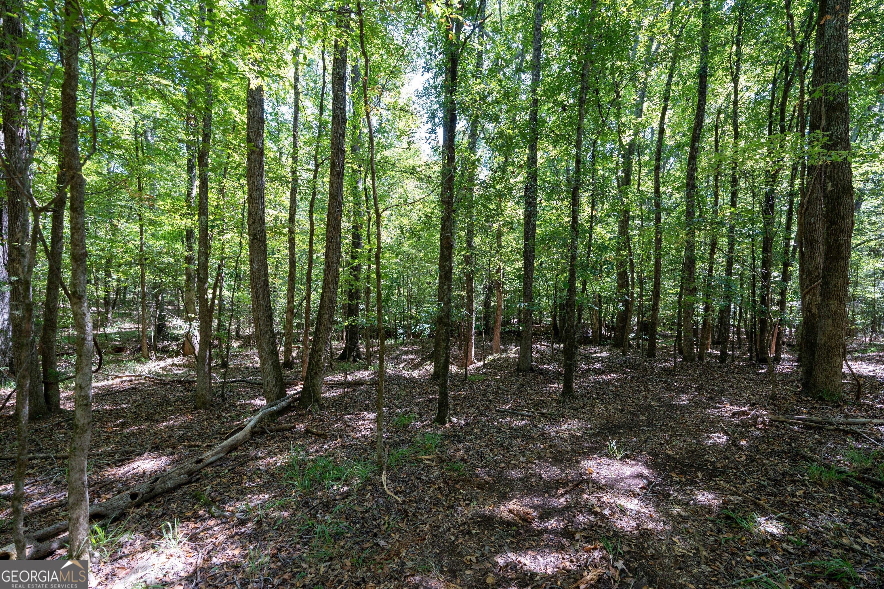 1419 Bobby Brown State Park Road Elberton, GA 30635 - Photo 47 of 90 Gallery Image 47