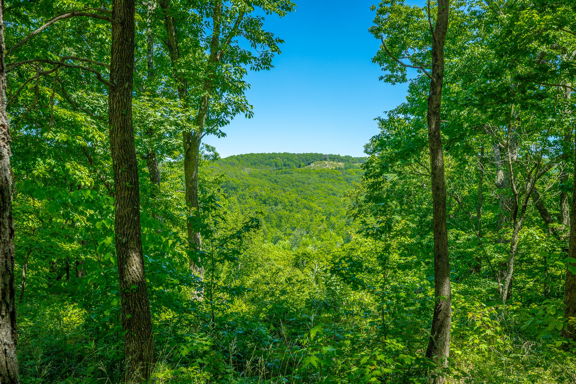 0 Split Rail Way, Unit 1349 Guild, TN 37340 - Photo 5 of 108 0 Split Rail Way - Lot 1349 HD-58