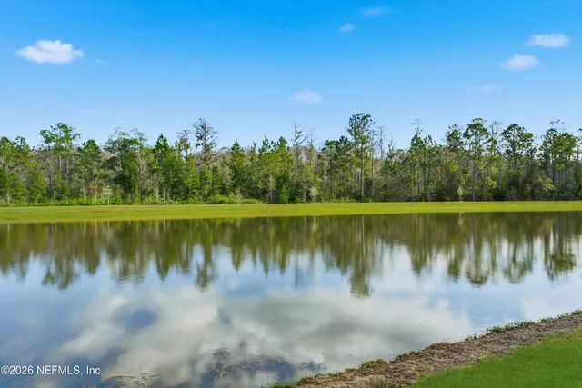 a view of a lake in middle of forest