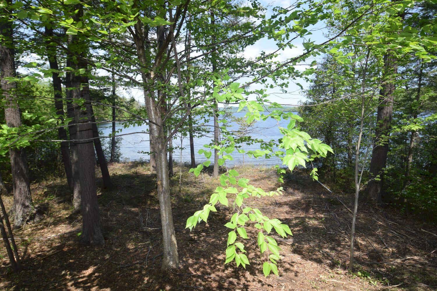 11-12 Rocky Point Road Embden, ME 04958 - Photo 66 of 75 View of lake from camp 2 (2)