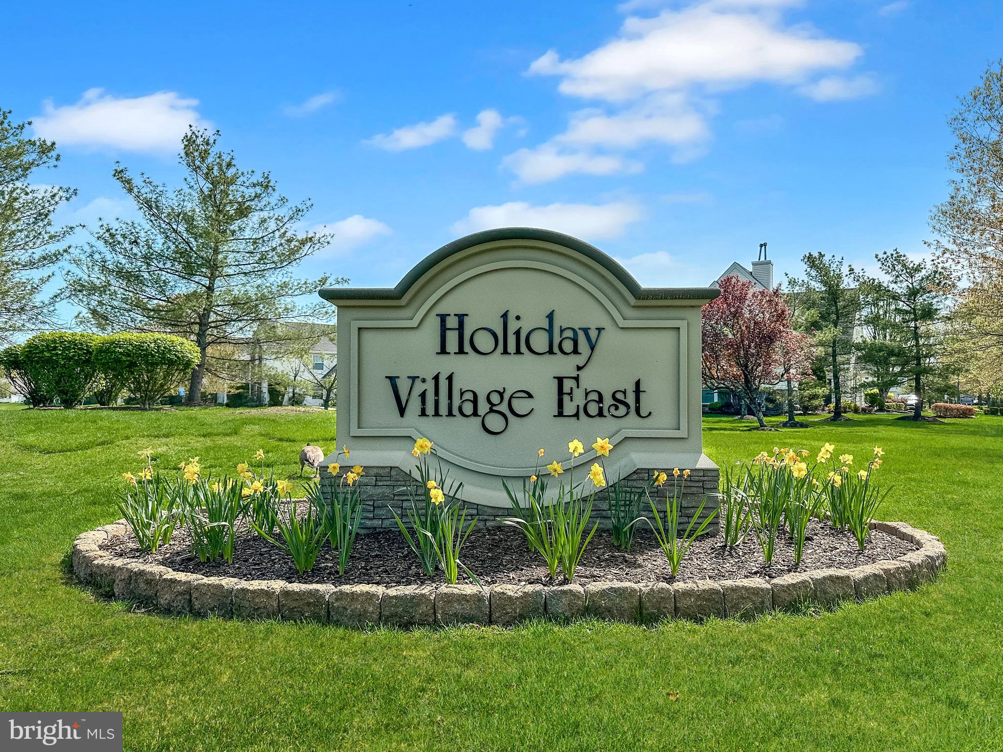 Professional Photos Coming Soon!