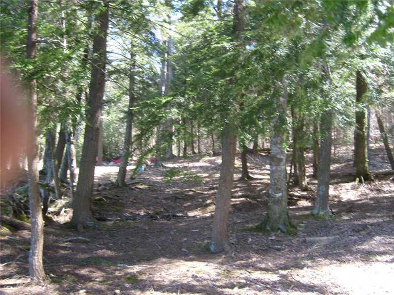 382 Goosepecker Ridge Road Montville, ME 04941 - Photo 8 of 13 Land.