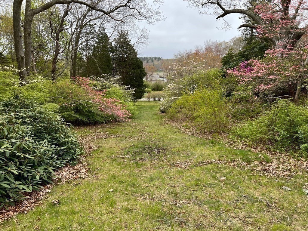48 Neal Gate Street Scituate, MA 02066 - Photo 19 of 34 a view of a yard with plants and a bench