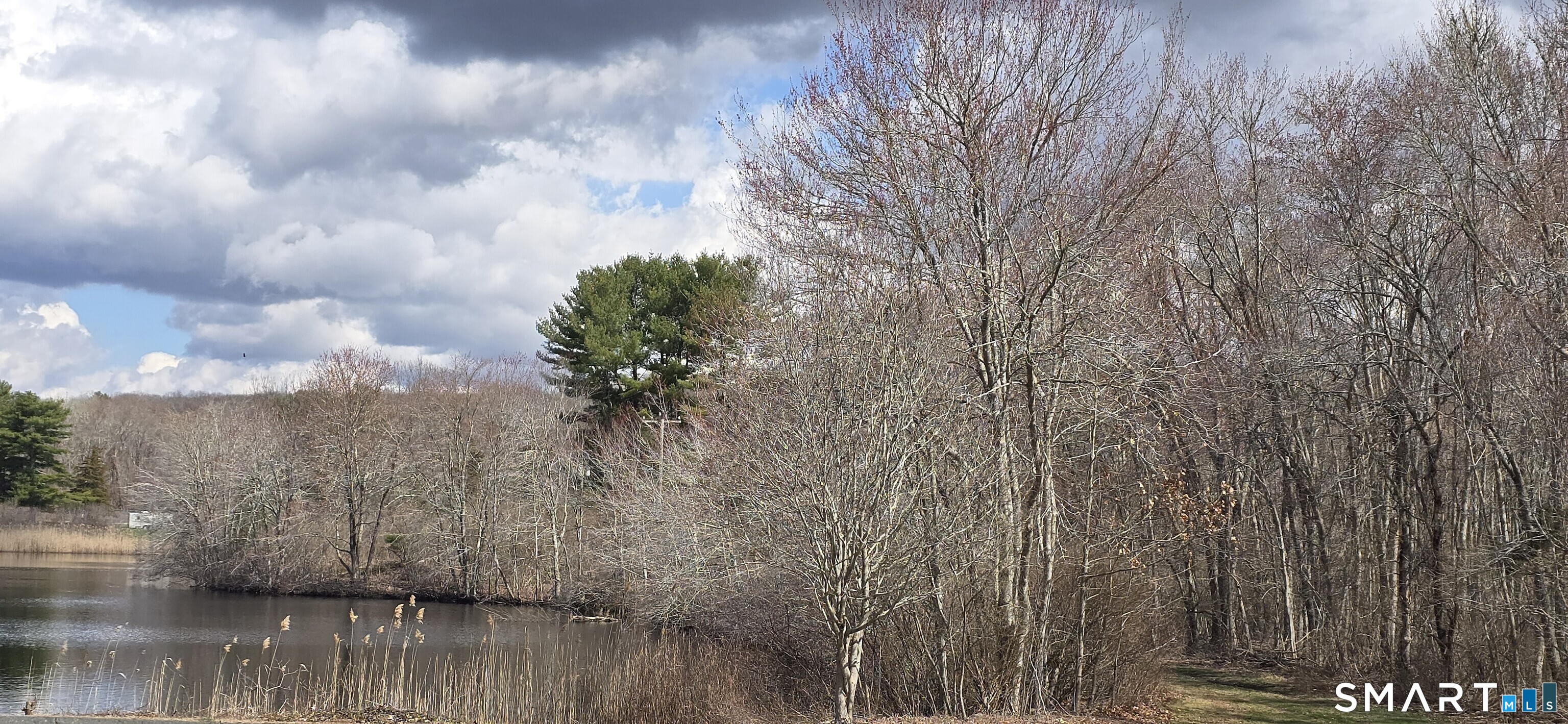 34 Country Club Drive Ledyard, CT 06339 - Photo 19 of 21 a view of three trees in a backyard