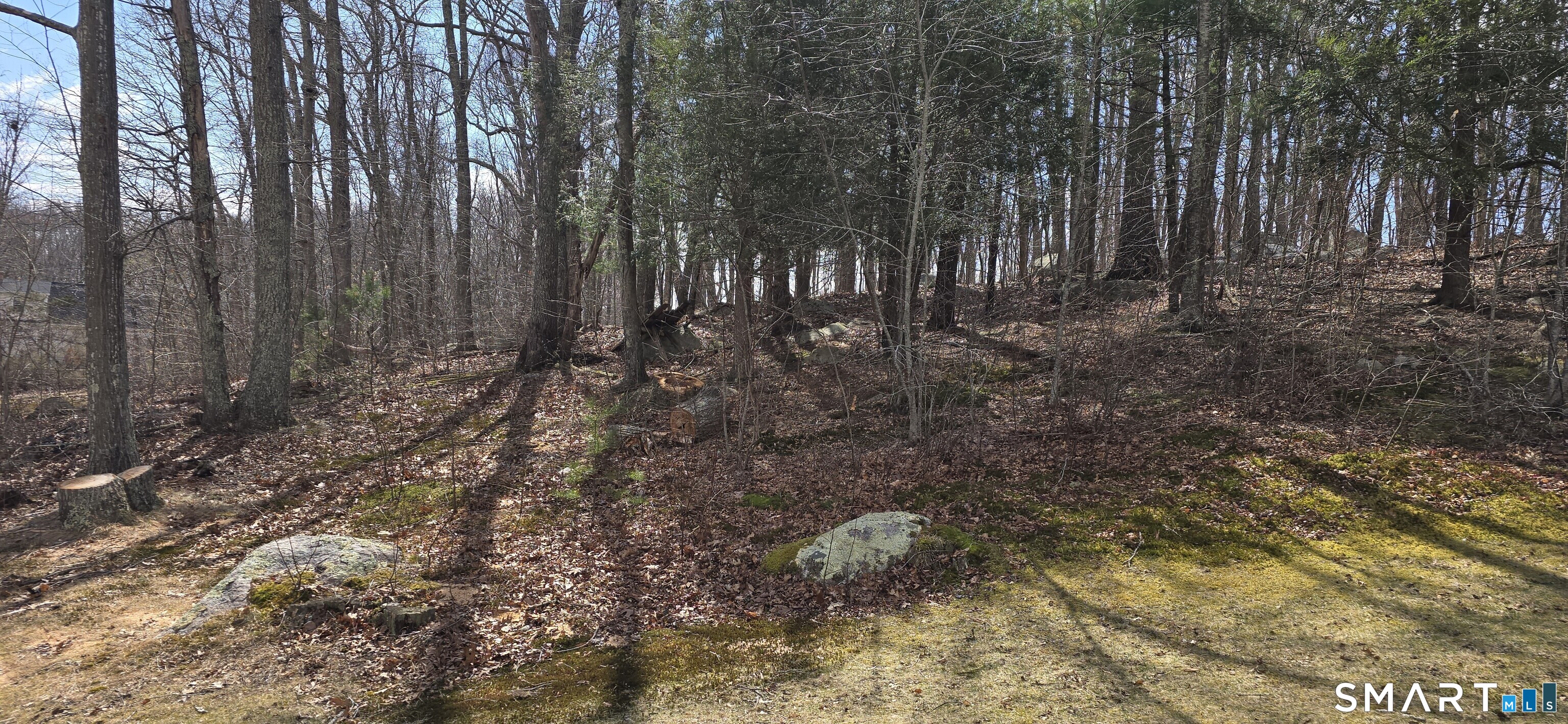 34 Country Club Drive Ledyard, CT 06339 - Photo 20 of 21 a view of outdoor space with trees