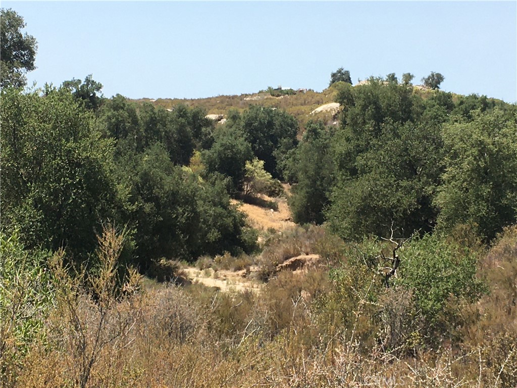 35010 Willow Creek Road Hemet, CA 92544 - Photo 11 of 26 a view of a house in a field