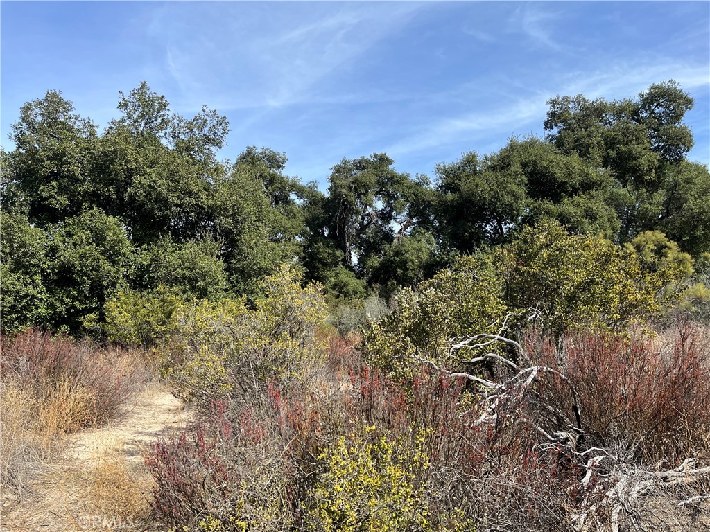 35010 Willow Creek Road Hemet, CA 92544 - Photo 15 of 26 a view of a lake with a tree in the background