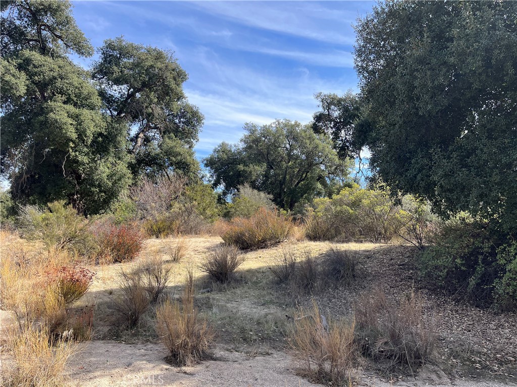 35010 Willow Creek Road Hemet, CA 92544 - Photo 16 of 26 a view of a tree with a yard