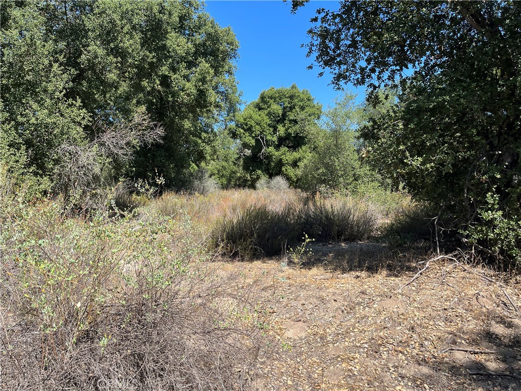 35010 Willow Creek Road Hemet, CA 92544 - Photo 20 of 26 a view of a yard