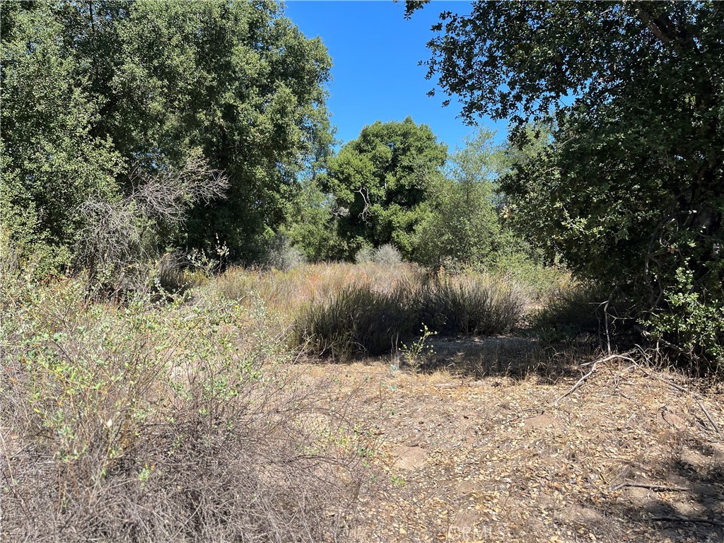 35010 Willow Creek Road Hemet, CA 92544 - Photo 2 of 26 a view of a yard