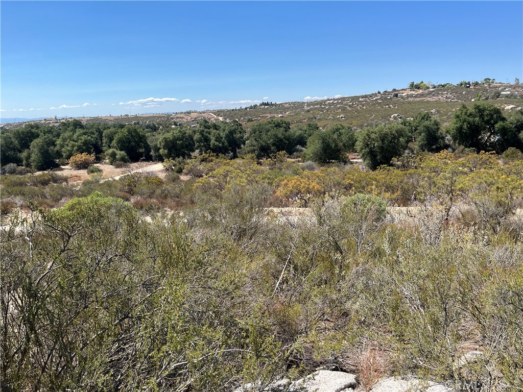 35010 Willow Creek Road Hemet, CA 92544 - Photo 25 of 26 a view of a city with lush green forest