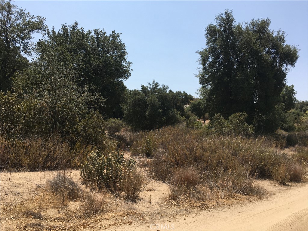 35010 Willow Creek Road Hemet, CA 92544 - Photo 4 of 26 a view of a yard