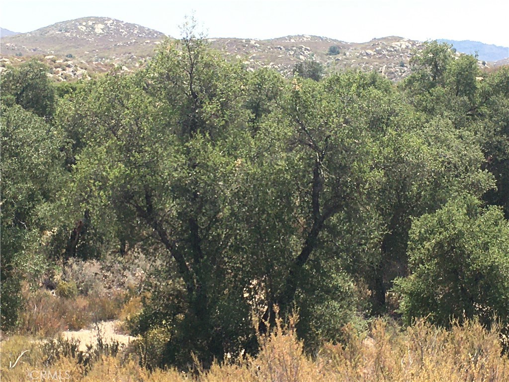 35010 Willow Creek Road Hemet, CA 92544 - Photo 5 of 26 a view of a forest with mountains in the background