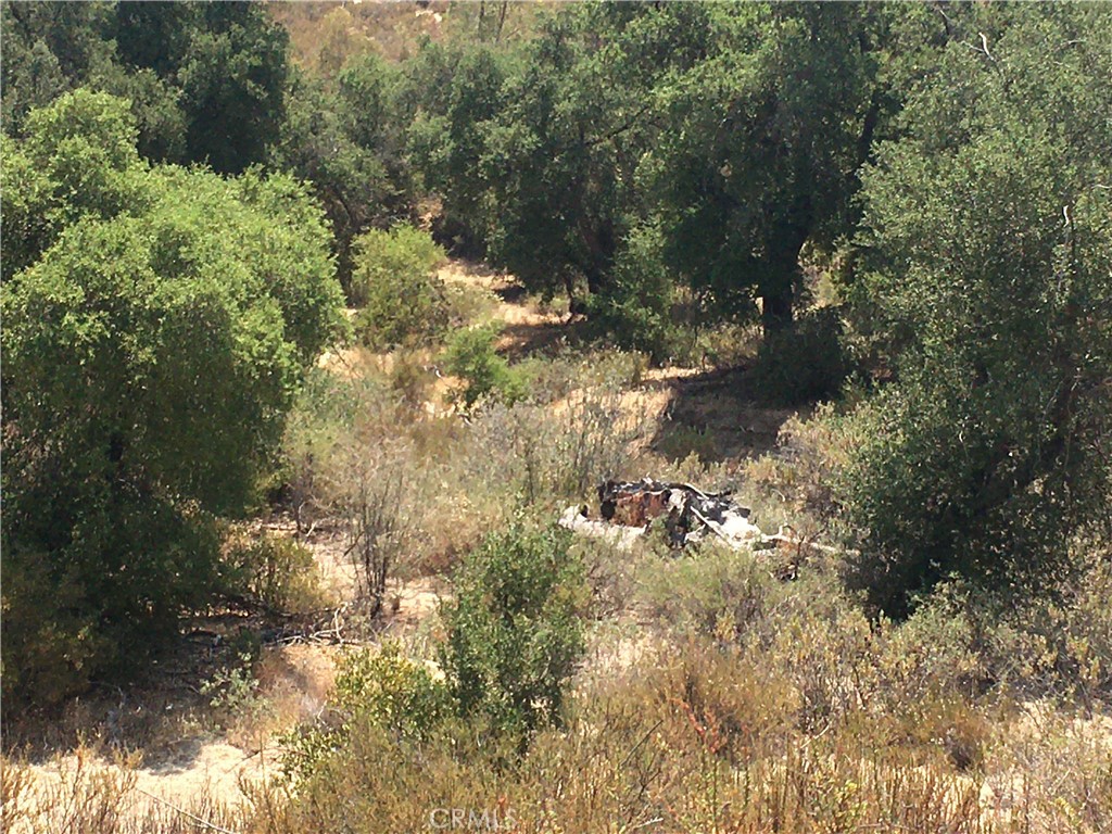 35010 Willow Creek Road Hemet, CA 92544 - Photo 7 of 26 a view of a yard
