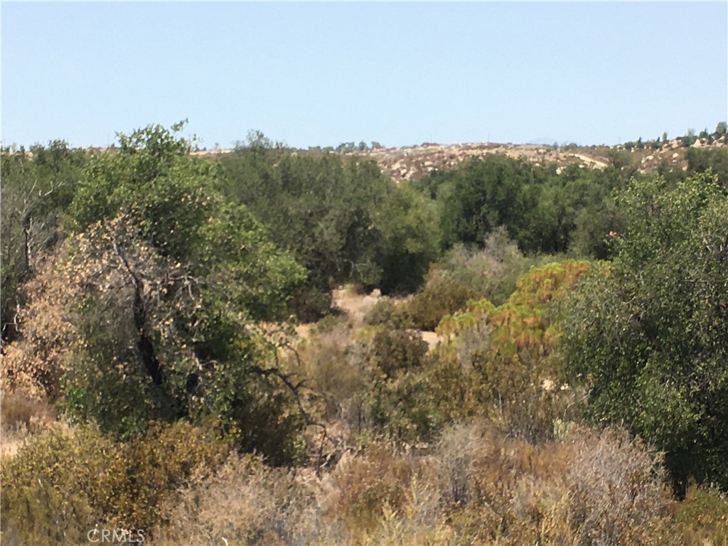 35010 Willow Creek Road Hemet, CA 92544 - Photo 10 of 26 a view of a forest with a forest