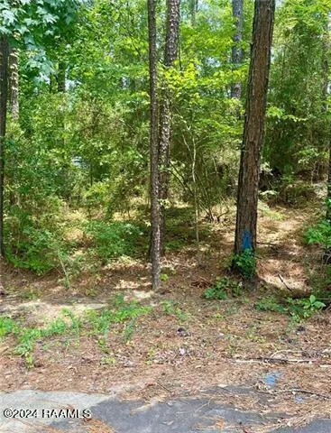 $29,900 | 110 Seneca Court, Pineville, LA 71360