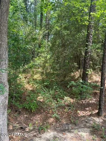 $29,900 | 110 Seneca Court, Pineville, LA 71360