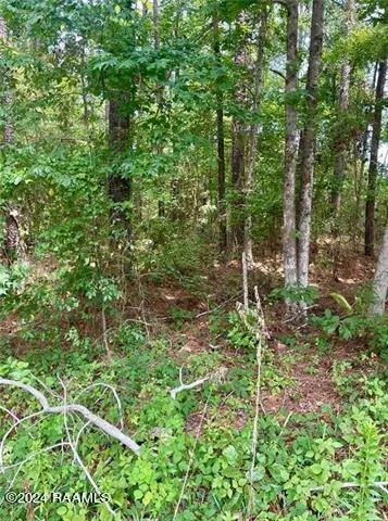 $29,900 | 110 Seneca Court, Pineville, LA 71360