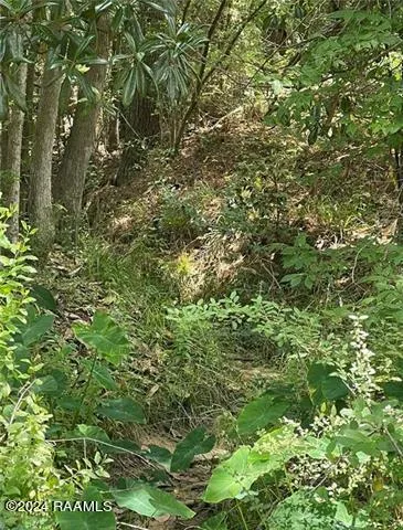 $29,900 | 110 Seneca Court, Pineville, LA 71360