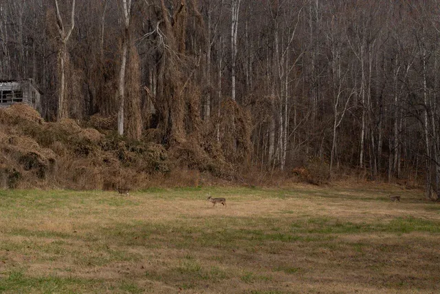 a backyard of a house