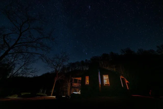 a view of a house with a yard and a large tree