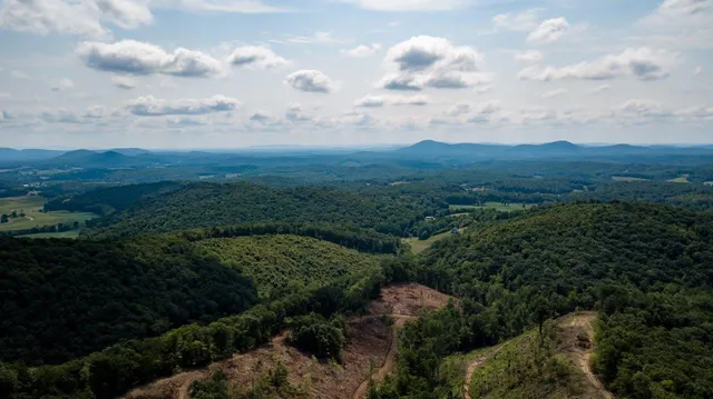 a view of a back yard of the house
