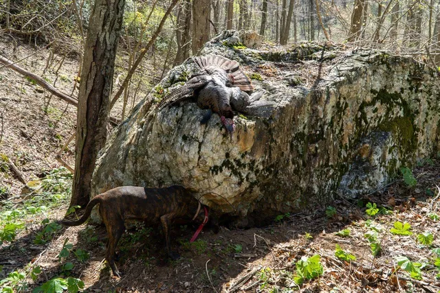 a close up of a vanity