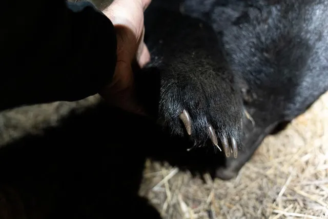a close up of a sink