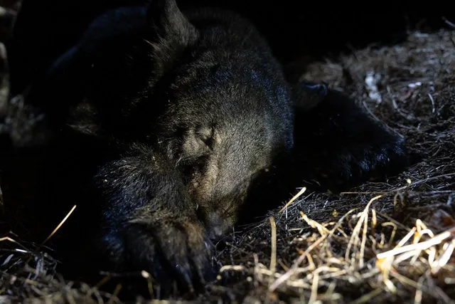 a view of a backyard with a sink