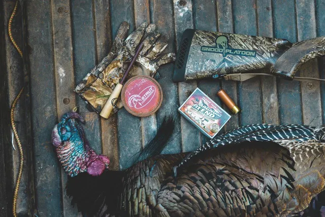 a view of city and green space