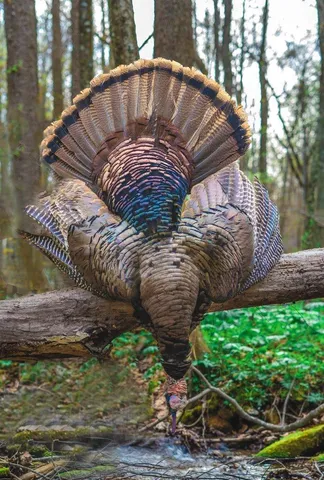 an aerial view of a house with a backyard space
