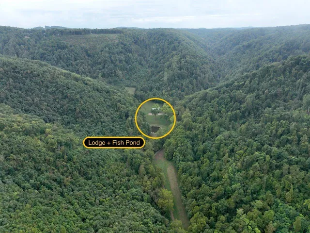 a view of city with lush green forest