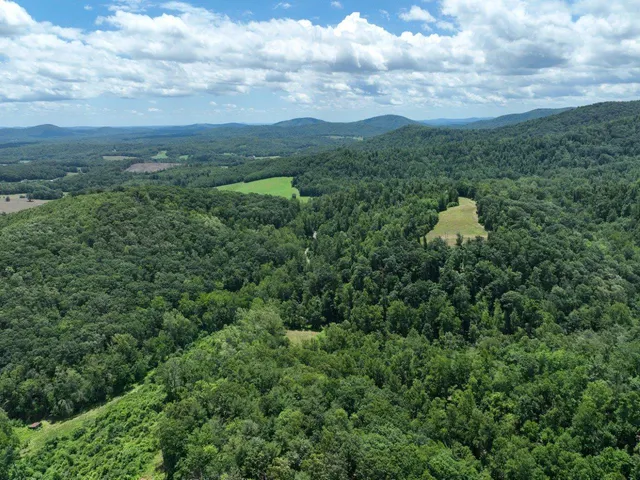 a view of a city and lush green forest