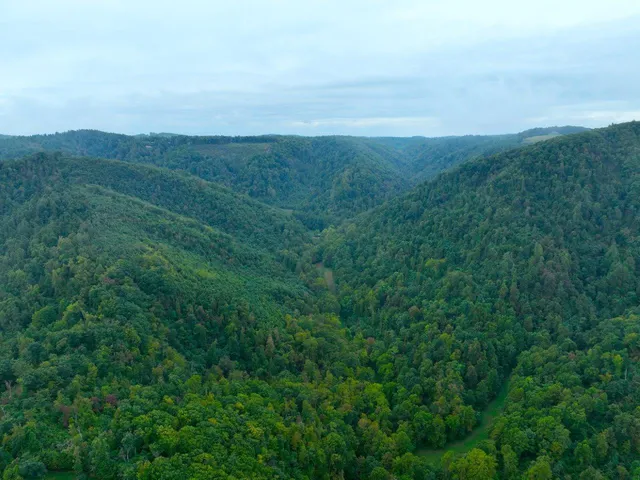 a view of a field of grass and trees